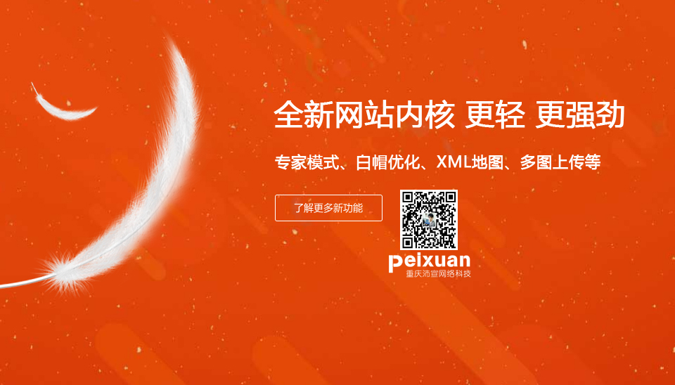 重庆巴南区网站建设,巴南网站建设首选重庆沛宣网络