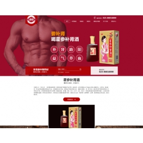贵州药酒品牌网站