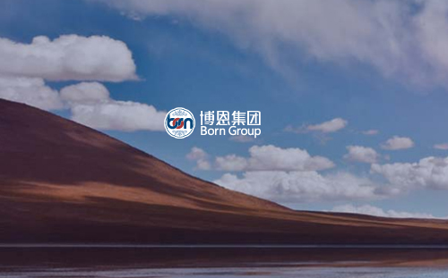 博恩集团