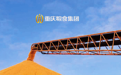 重庆粮食集团官网