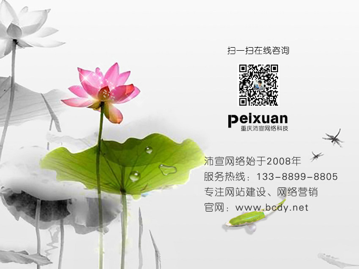 网站的交互性如何体现