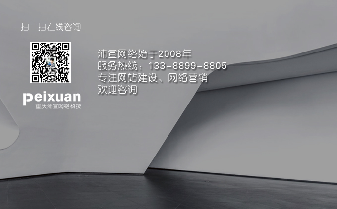 沛宣网络帮你做一个会赚钱的网站