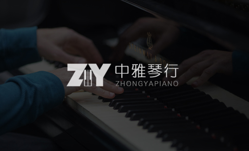 签约南岸中雅琴行网站建设