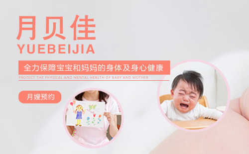 签约月贝佳母婴护理公司网站建设