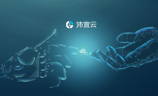 祝贺沛宣云网站正式上线