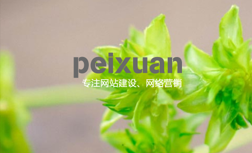 网站建设制作公司怎么知道是不是靠谱