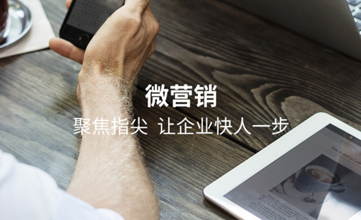 企业网络营销的具体分析