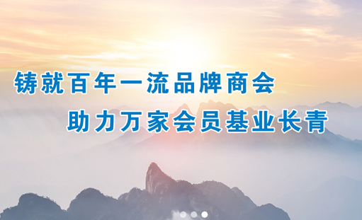祝贺重庆三峡民营企业商会官方网站正式上线