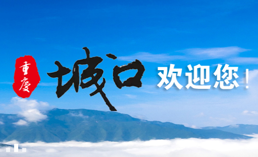 祝贺城口旅游网正式上线开通